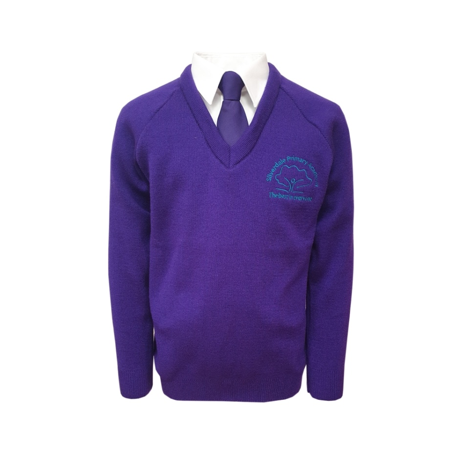 Silverdale Primary smart Knitted Vee, SHOP BOYS, SHOP GIRLS