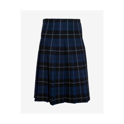 Kidsgrove Secondary Tartan Pleat Skirt, SHOP GIRLS