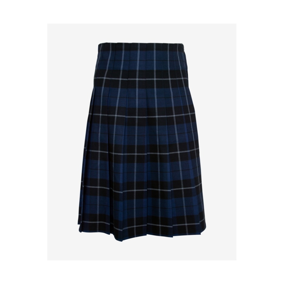 Kidsgrove Secondary Tartan Pleat Skirt, SHOP GIRLS