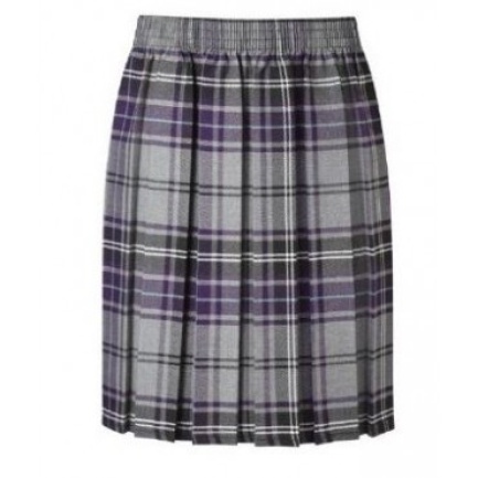 Silverdale Primary Box Pleat Skirt, SHOP GIRLS