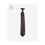 Chesterton 14' Clip On Tie, SHOP BOYS, SHOP GIRLS