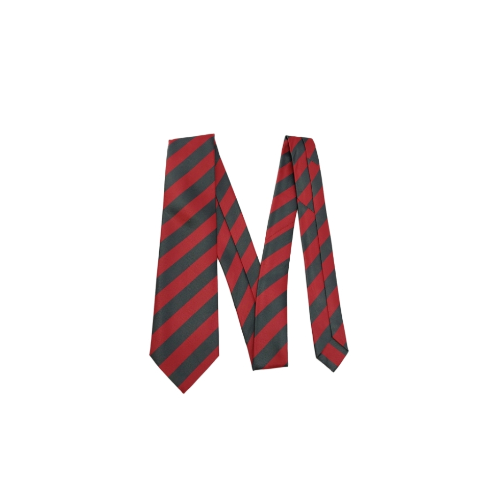St Dominics Standard Tie, SHOP BOYS, SHOP GIRLS