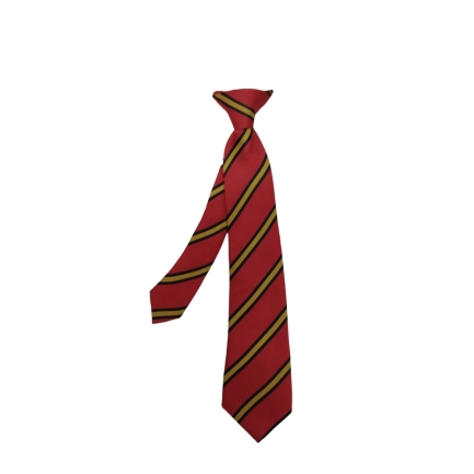 Goldenhill Primary smart Clip On Tie, SHOP BOYS, SHOP GIRLS