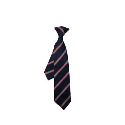 St Wulstans Ties, ST WULSTAN'S CATHOLIC PRIMARY, SHOP BOYS, SHOP GIRLS