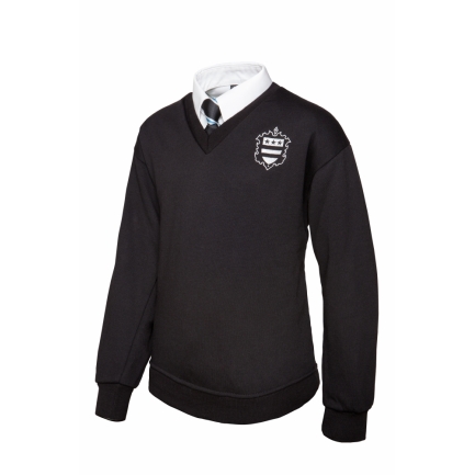 Alleyne's Vee Neck Jumper, SHOP GIRLS, SHOP BOYS