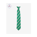 Woodhouse Academy Clip On Tie, SHOP GIRLS, SHOP BOYS, SHOP GIRLS, SHOP BOYS