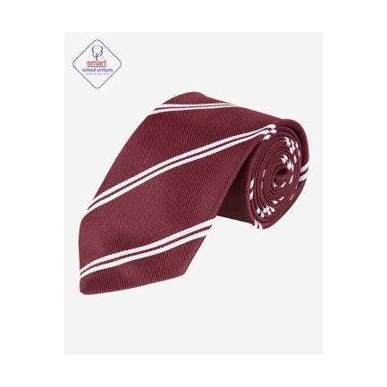 Clayton Hall Academy Ties, SHOP BOYS, SHOP GIRLS