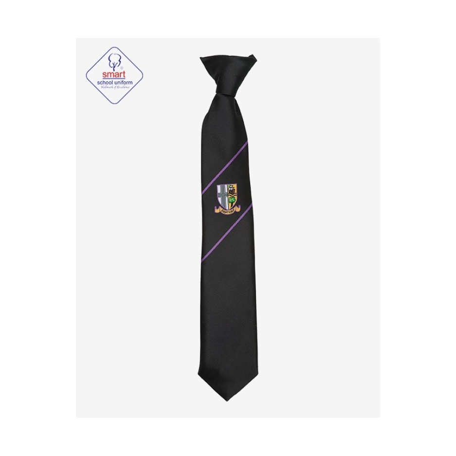 Shavington Clip On Ties, SHAVINGTON ACADEMY, SHOP BOYS, SHOP GIRLS