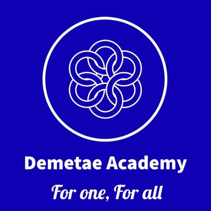 DEMETAE ACADEMY