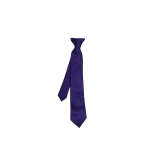 Silverdale Primary Clip On Tie, SILVERDALE ACADEMY, SHOP BOYS, SHOP GIRLS