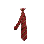 Goldenhill Primary smart Clip On Tie, SHOP BOYS, SHOP GIRLS