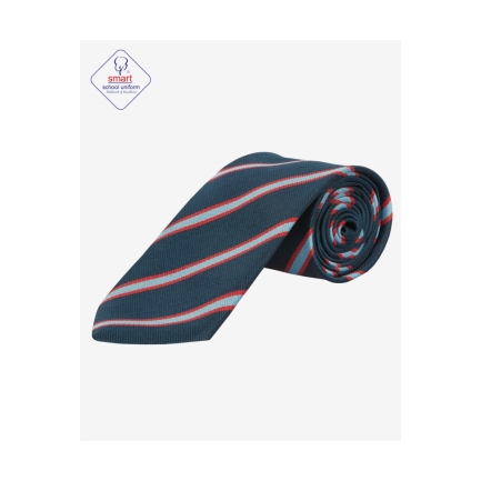 St Wulstans Ties, ST WULSTAN'S CATHOLIC PRIMARY, SHOP BOYS, SHOP GIRLS